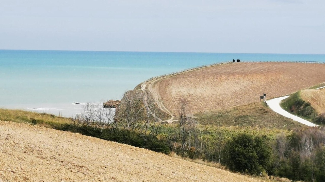 Photo of Others in Cologna Spiaggia