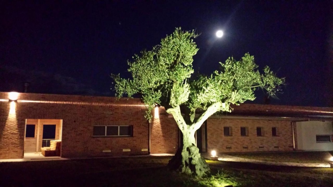 Photo of Outdoor in Cologna Spiaggia