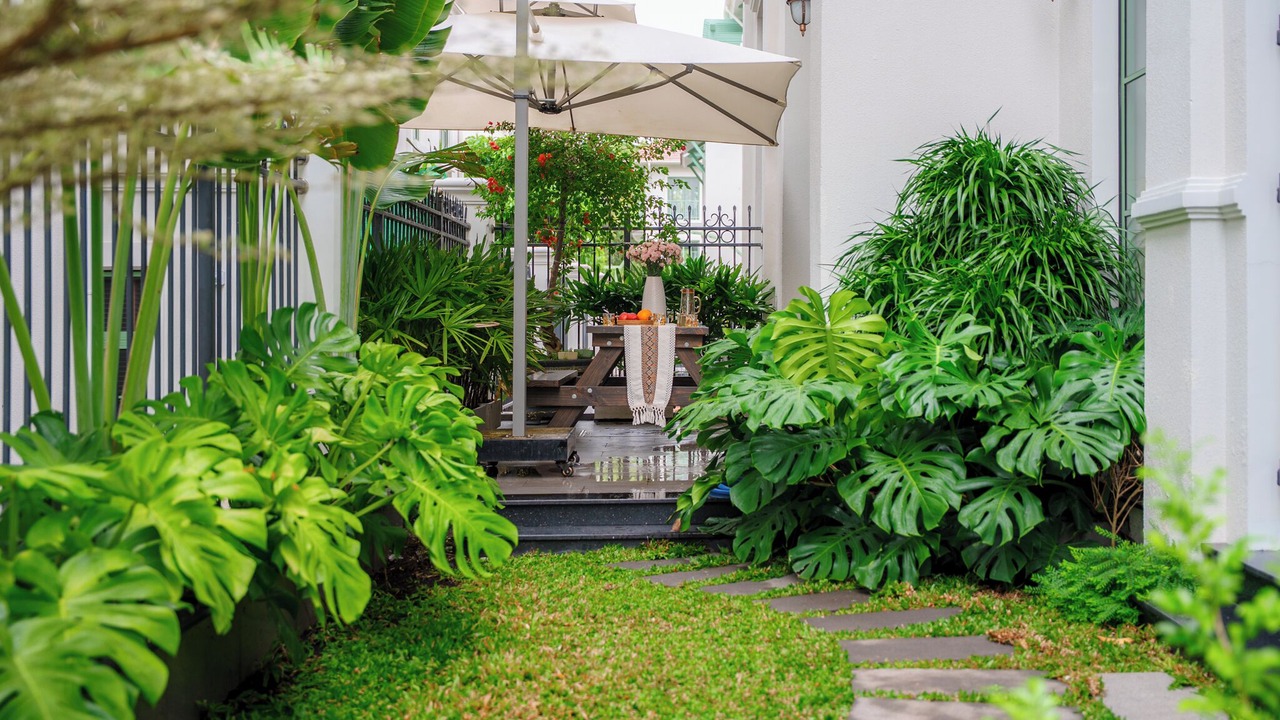 Photo of Outdoor in An Thoi