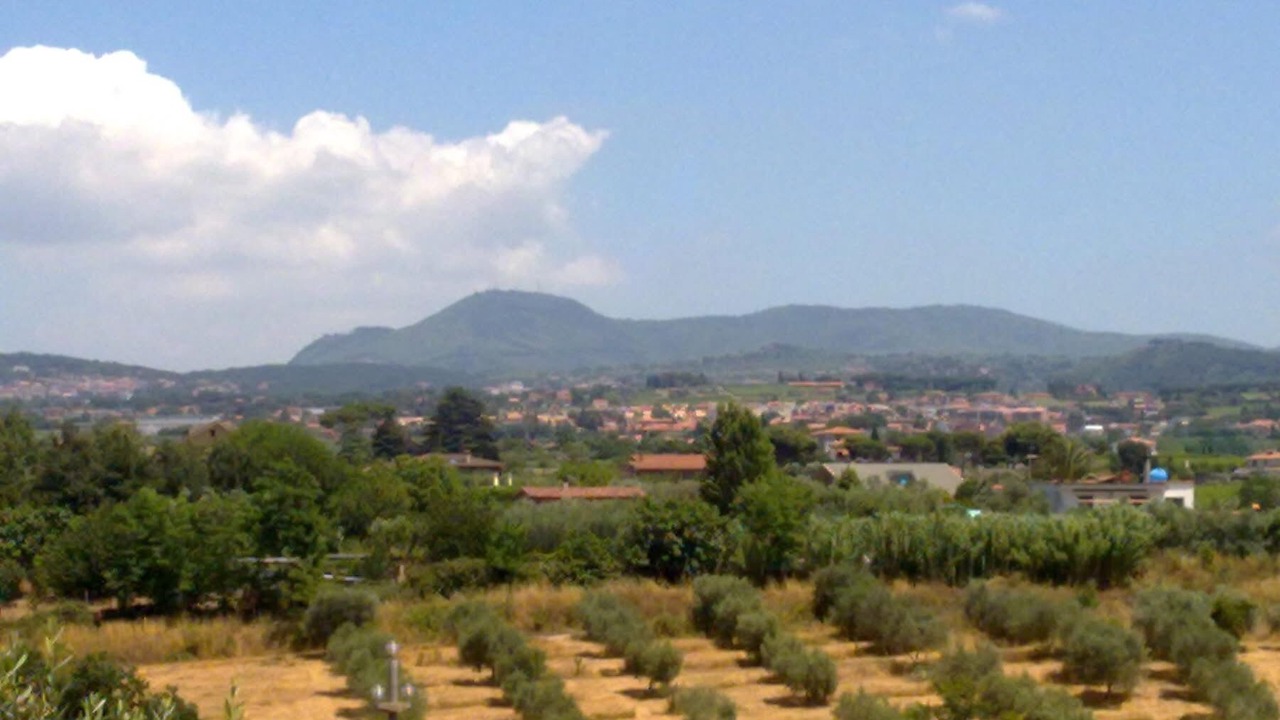 Photo of Others in Albano Laziale
