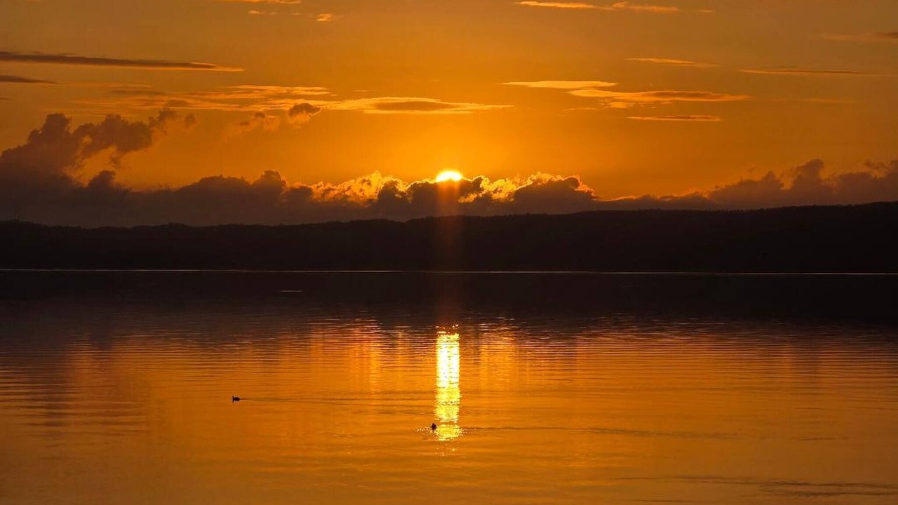 Photo of Others in Bolsena