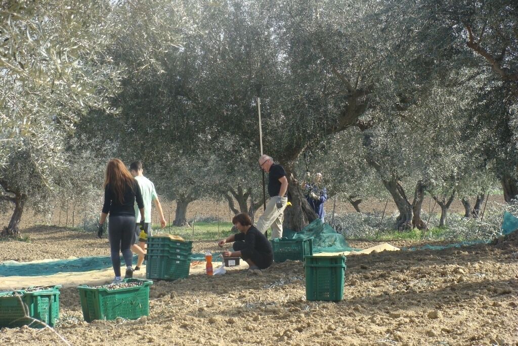 Photo of Others in Villa Celiera