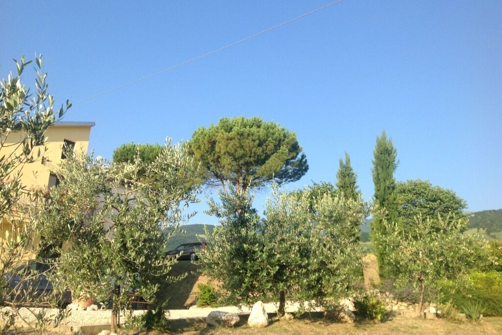Photo of Outdoor in Villa Celiera