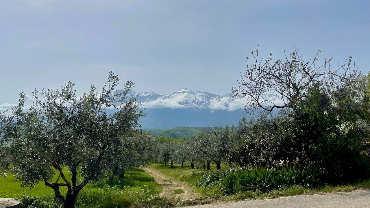 Photo of Others in Montorio al Vomano