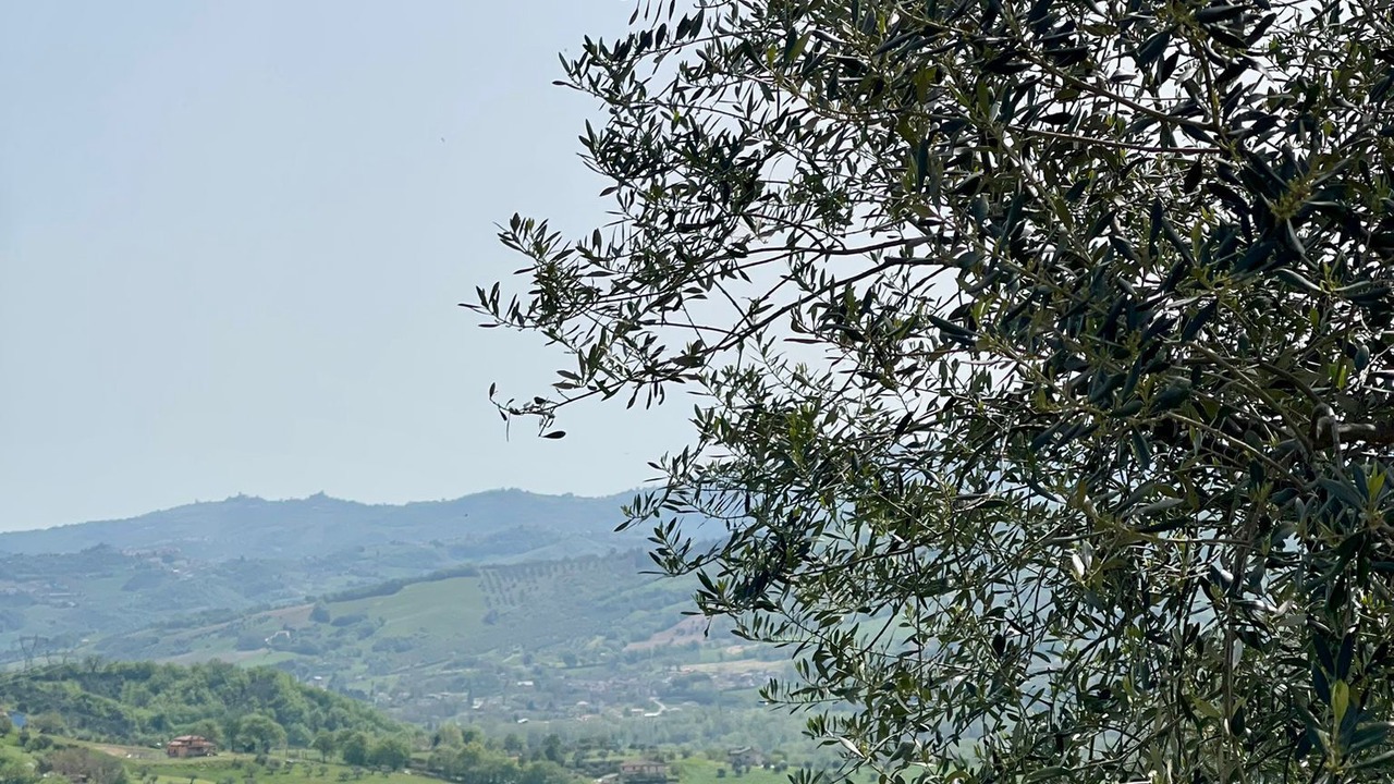 Photo of Others in Montorio al Vomano