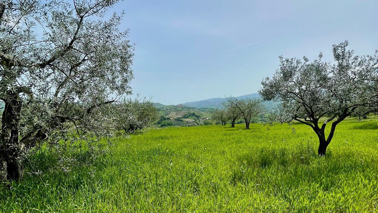 Photo of Others in Montorio al Vomano