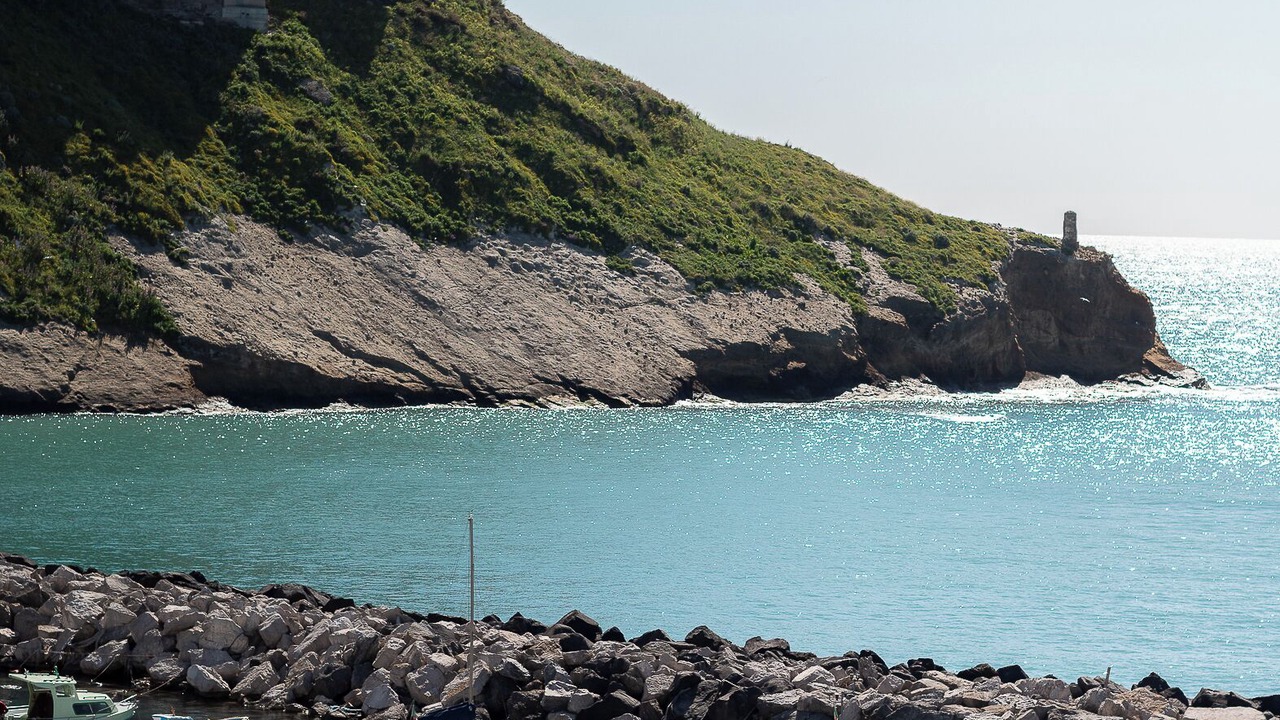 Photo of Others in Procida