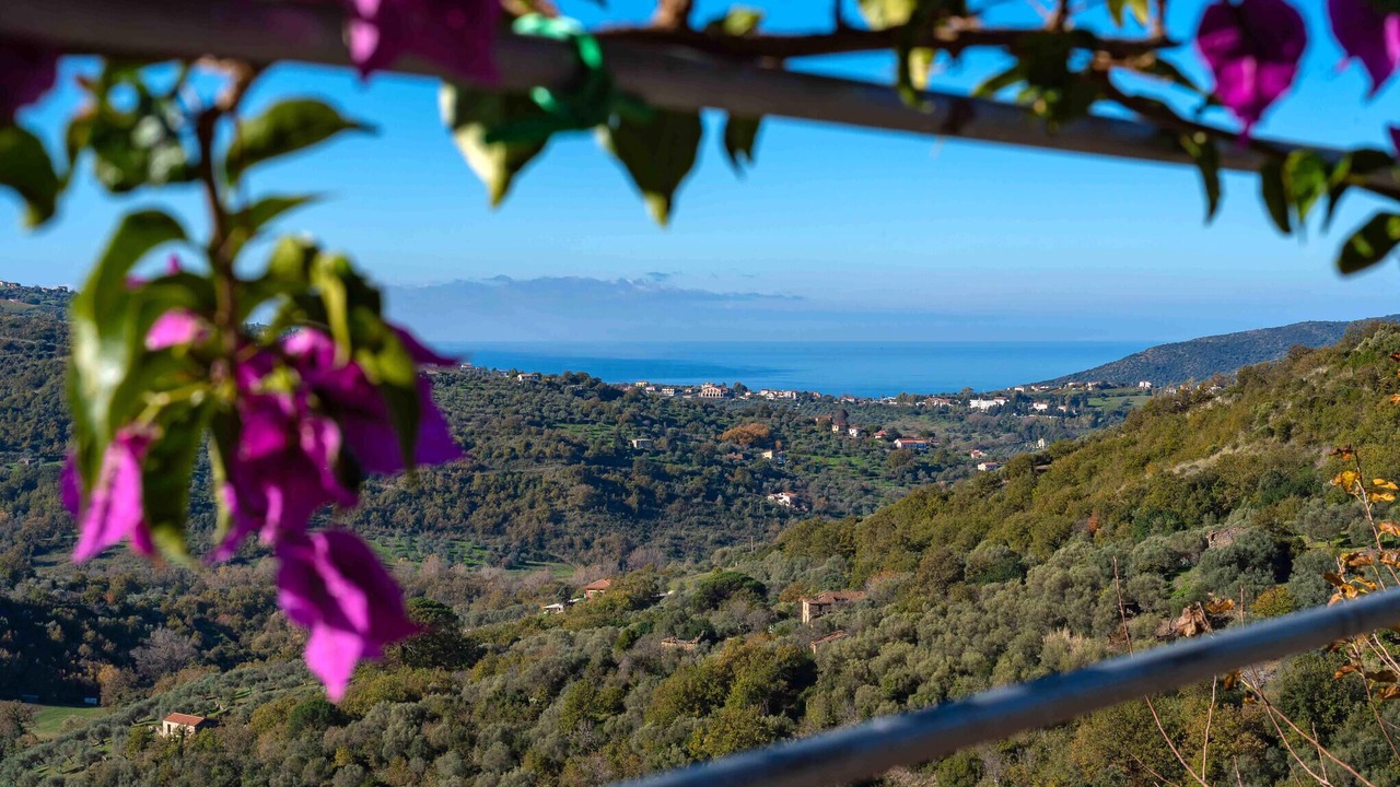 Photo of Bedroom in Laureana Cilento