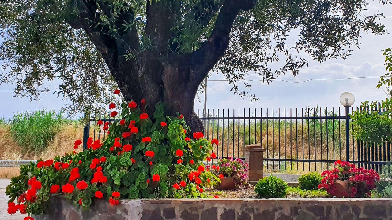 Photo of Others in Casal Velino