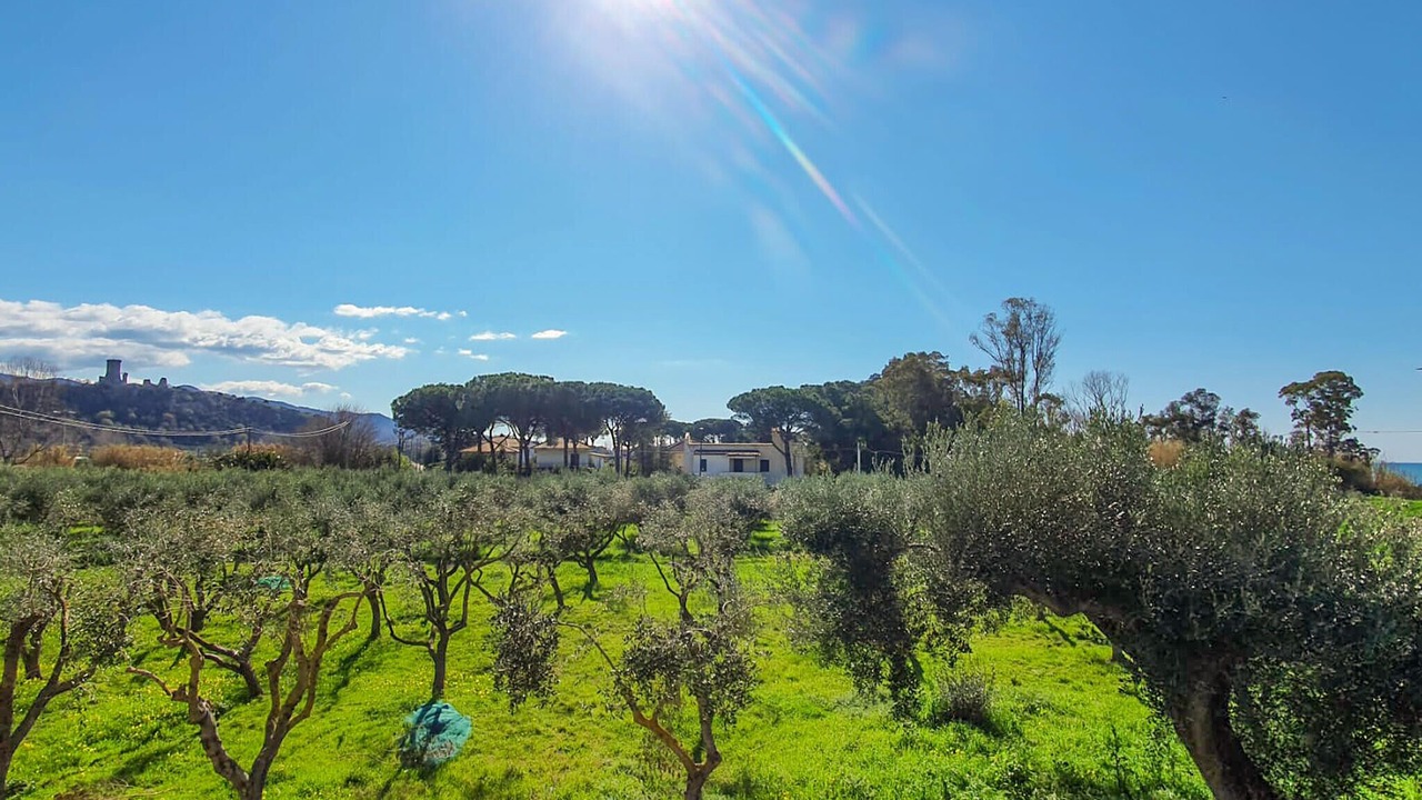 Photo of Bedroom in Casal Velino