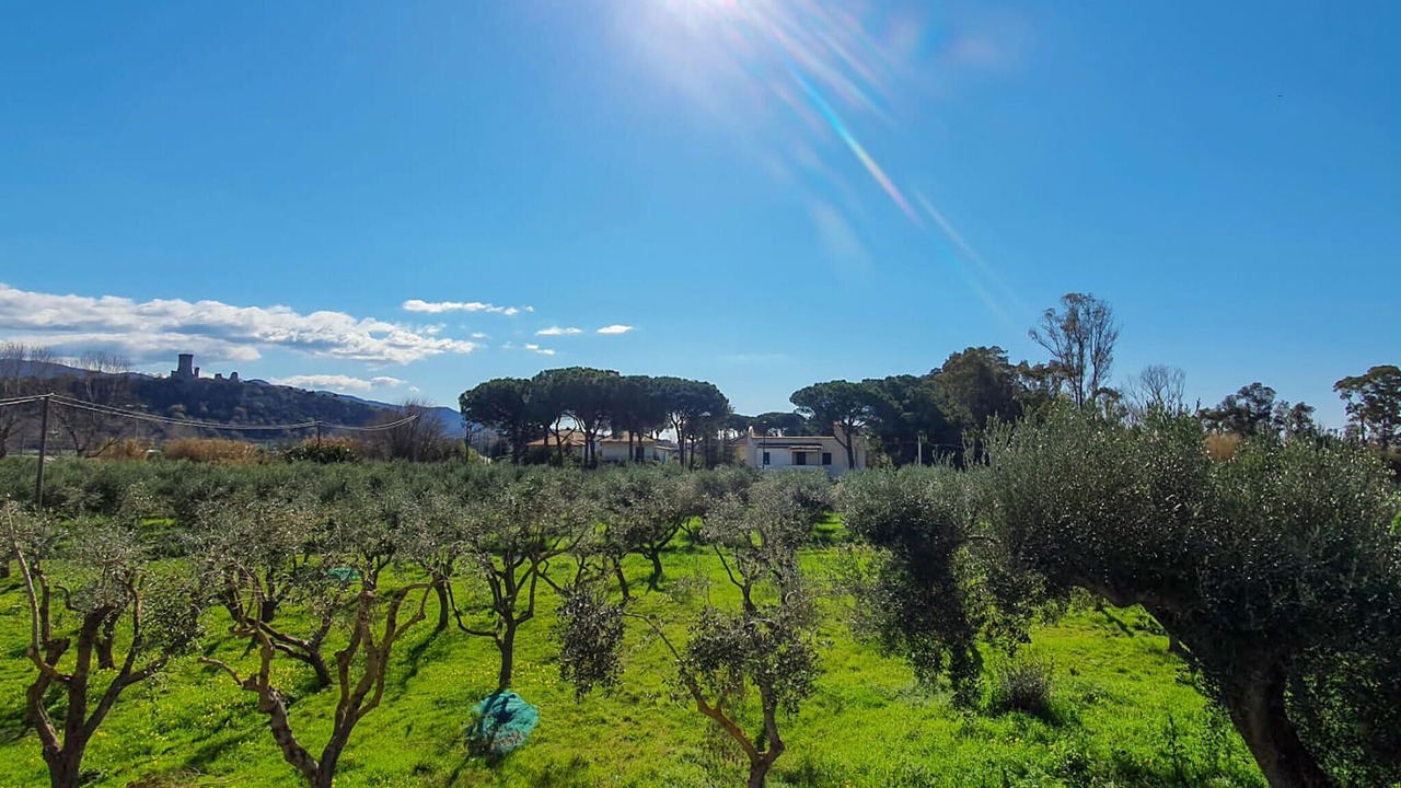 Photo of Bedroom in Casal Velino