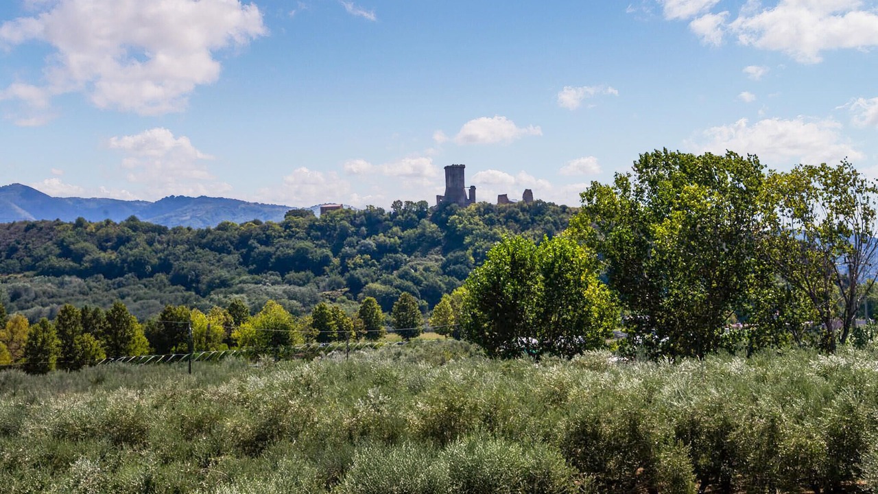 Photo of Others in Casal Velino