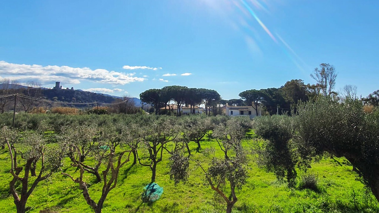 Photo of Others in Casal Velino