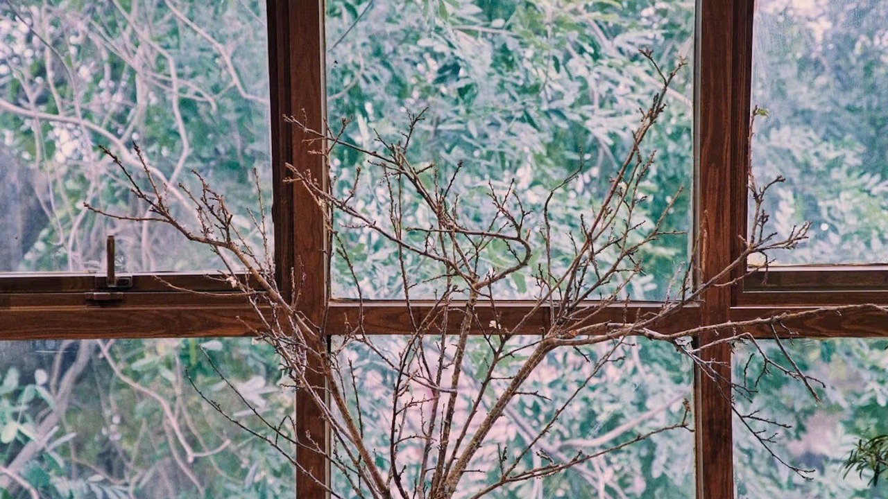 Photo of Others in Hang Bo