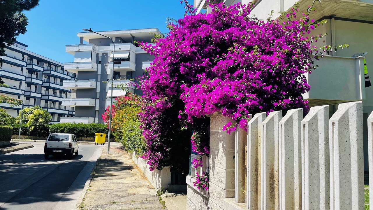 Photo of Outdoor in Silvi Marina