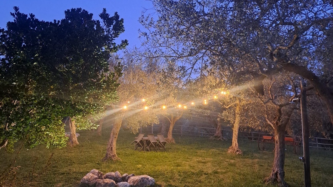 Photo of Others in Campagna