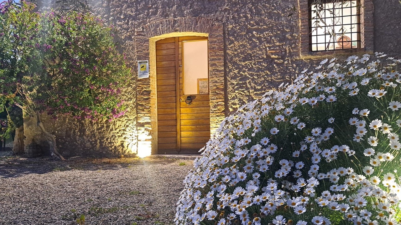Photo of Outdoor in Campagna