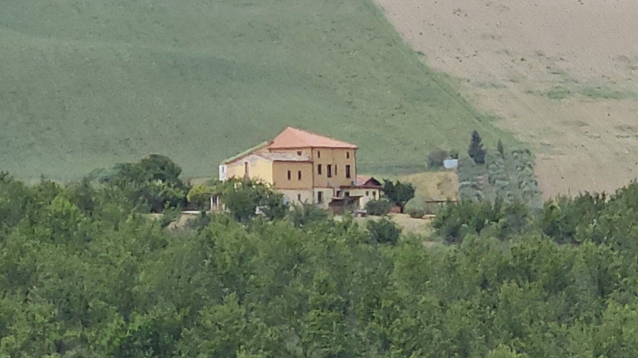Photo of Others in Campli