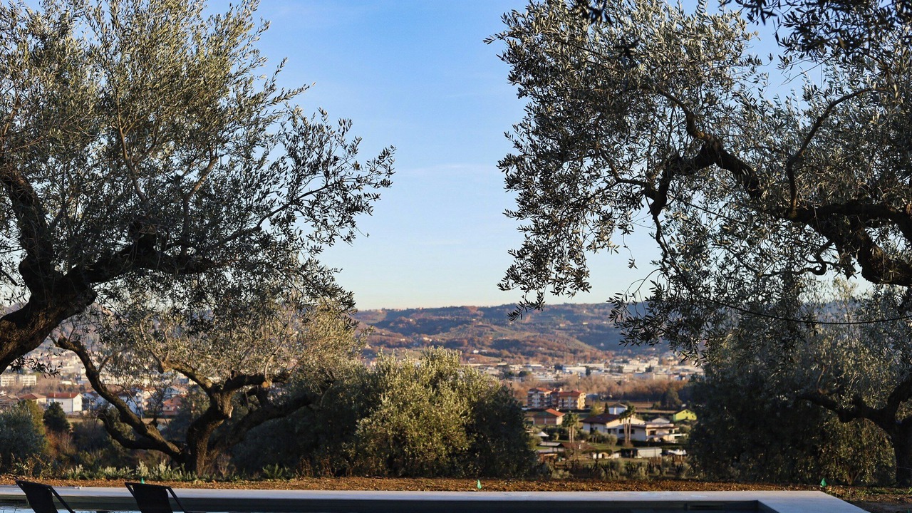 Photo of Outdoor in Spoltore