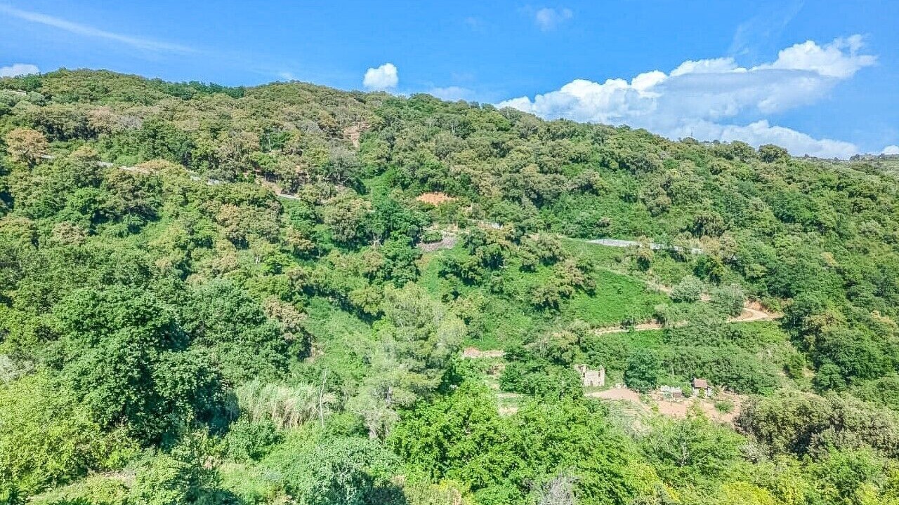 Photo of Others in Vibonati