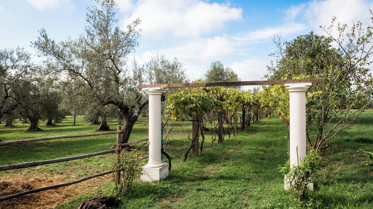 Photo of Outdoor in Farnese