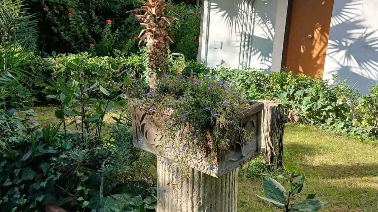 Photo of Outdoor in Fregenae