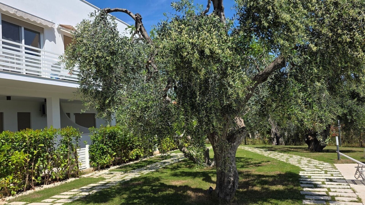 Photo of Outdoor in Chiesiola