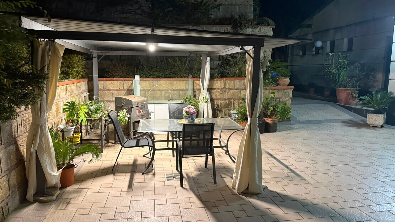 Photo of Outdoor in Licola