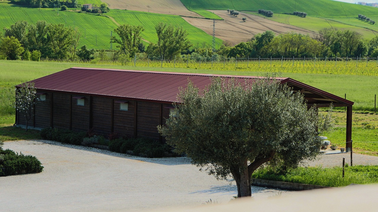 Photo of Outdoor in Montegranaro