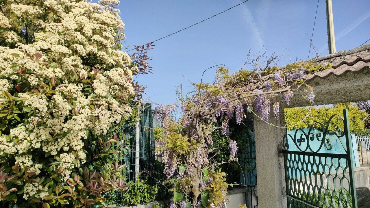 Photo of Outdoor in Alatri