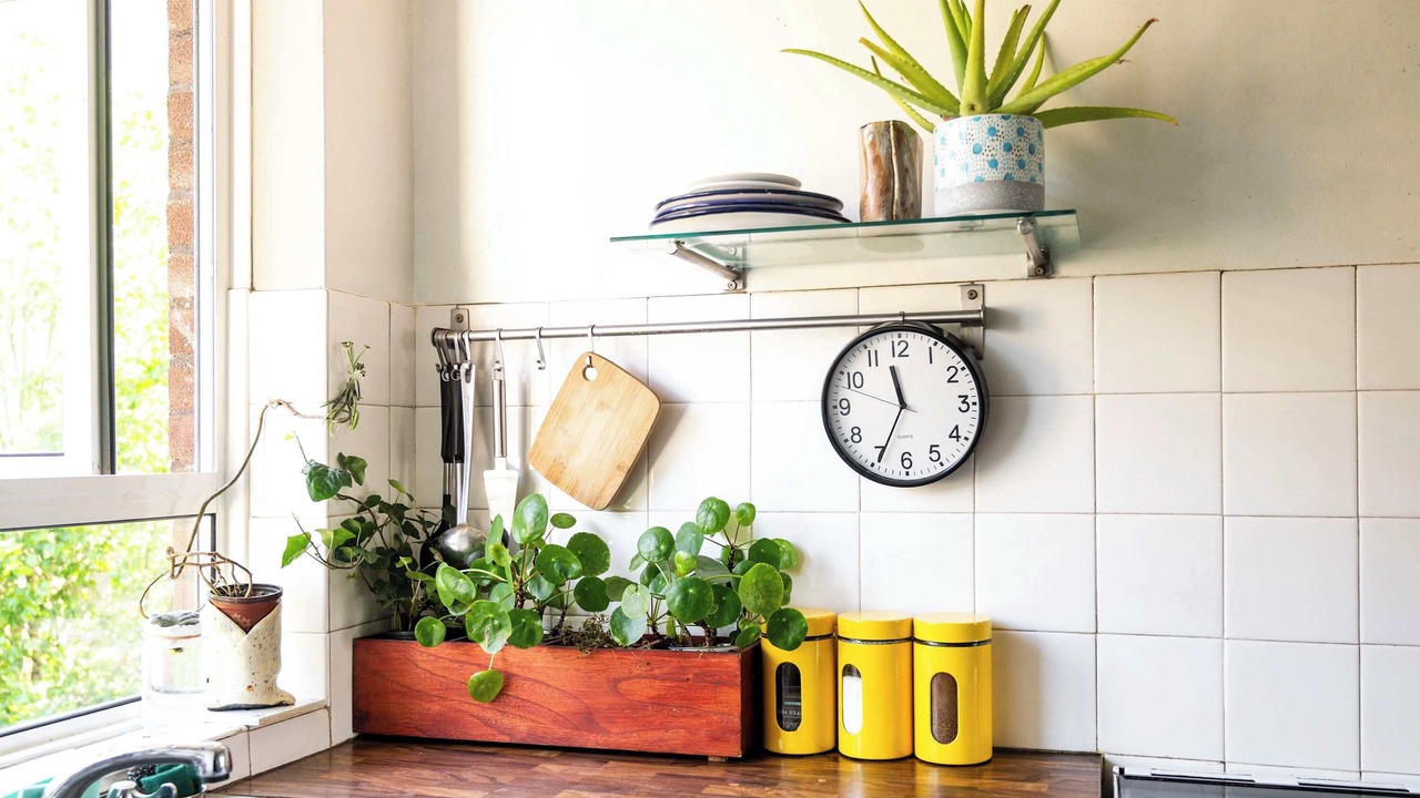 Photo of Kitchen in St. Pancras