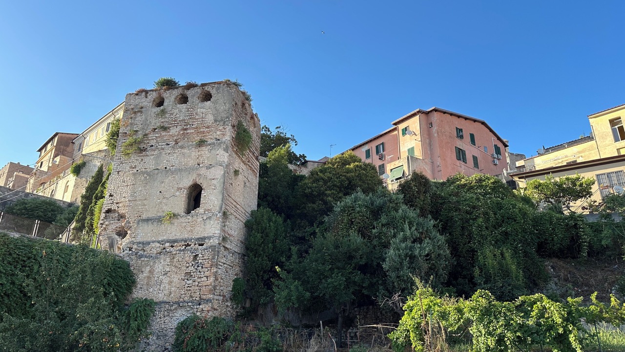 Photo of Others in Terracina