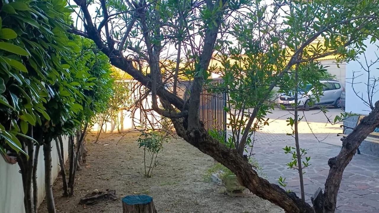 Photo of Outdoor in Brecciaio