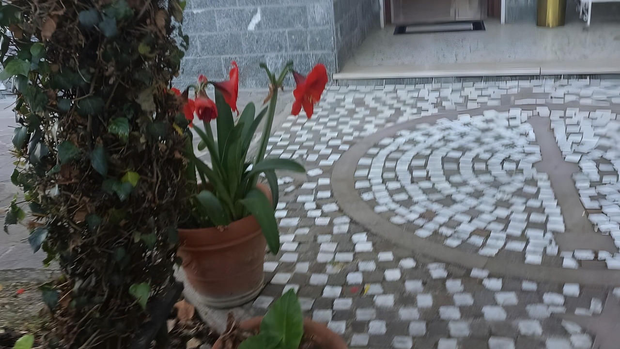 Photo of Outdoor in Brecciaio