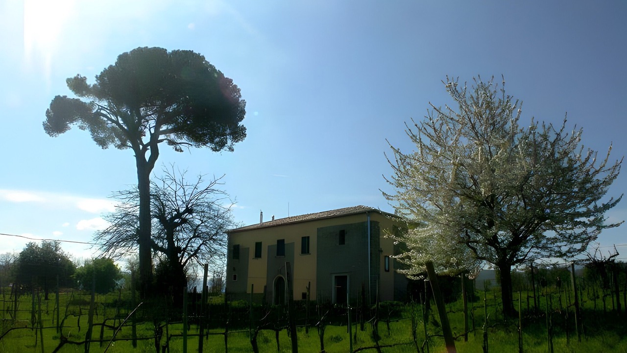 Photo of Outdoor in Paternopoli