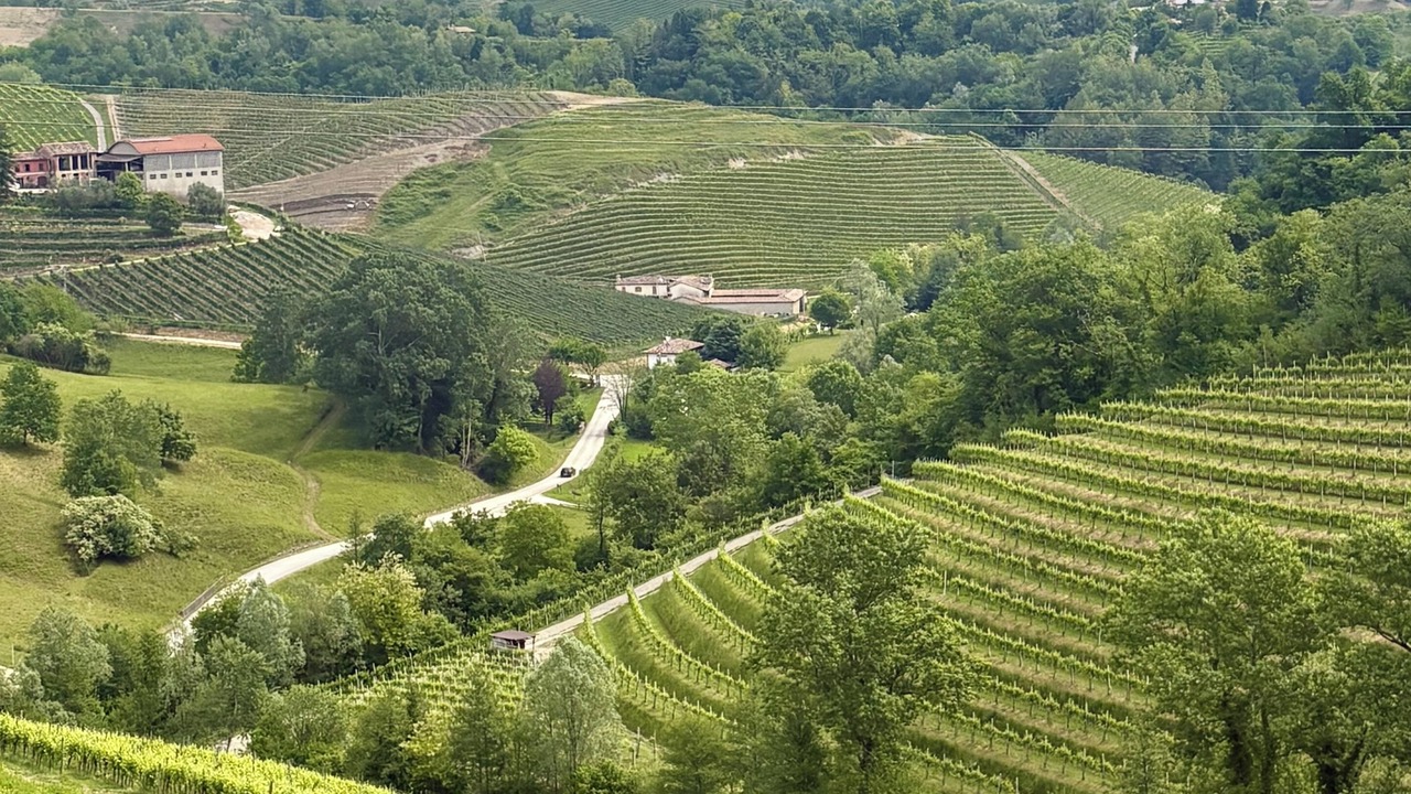 Photo of Others in Crocetta del Montello