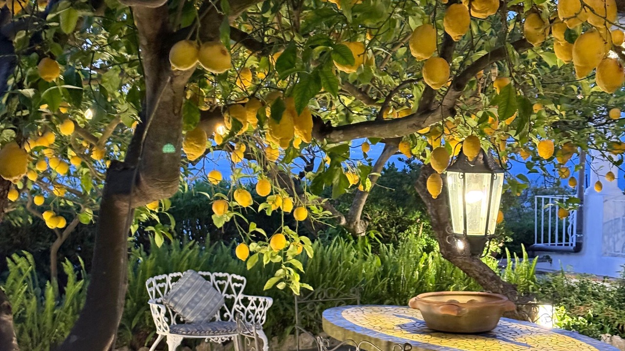 Photo of Outdoor in Marina Grande