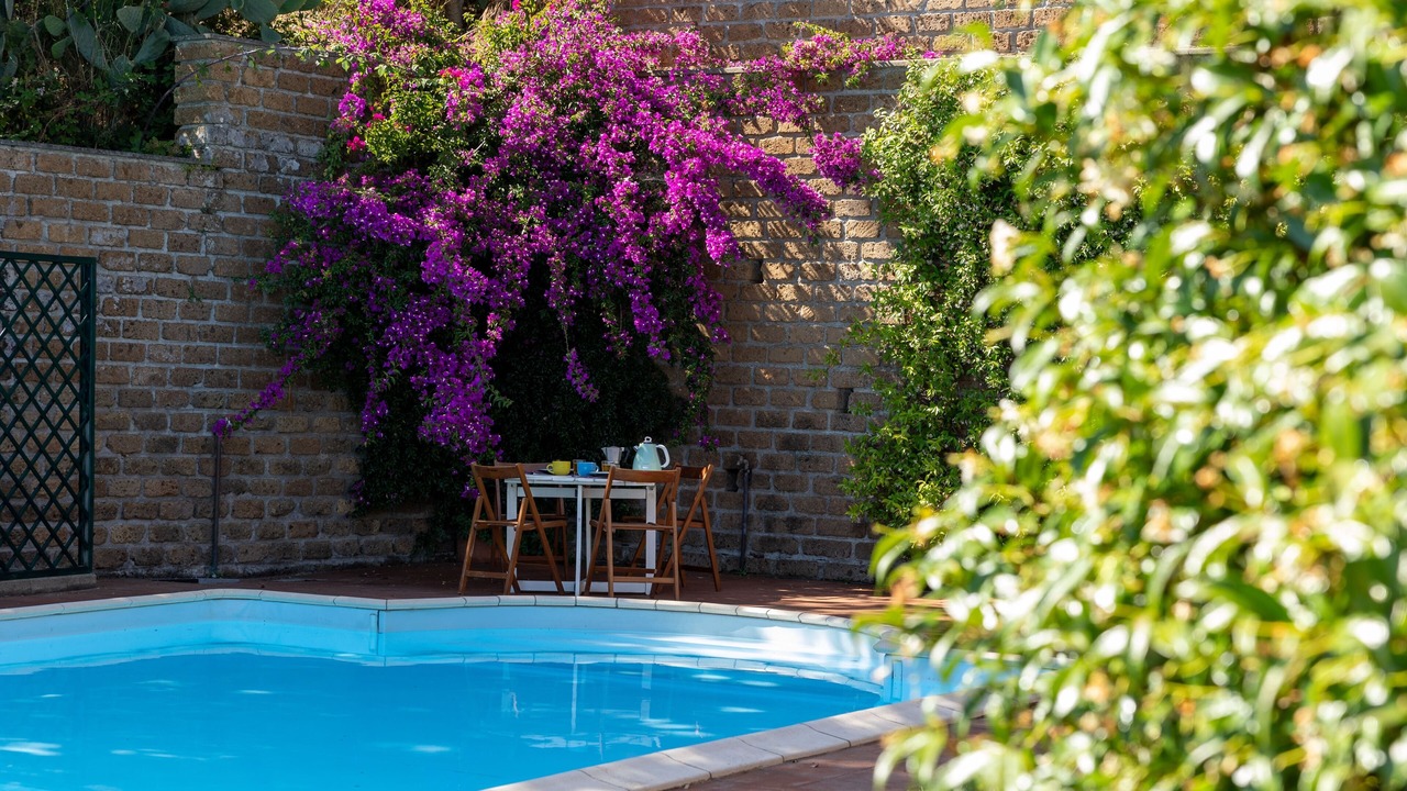 Photo of Outdoor in Lake Bracciano