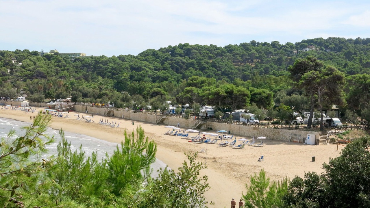 Photo of Others in Mandrione