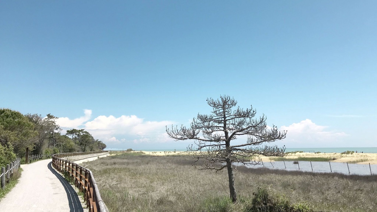 Photo of Others in Bibione Pineda