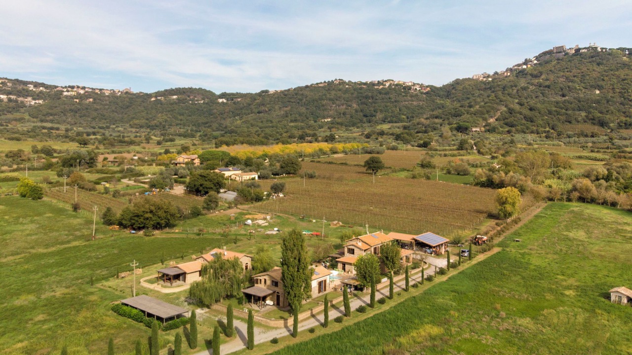 Photo of Others in Montefiascone