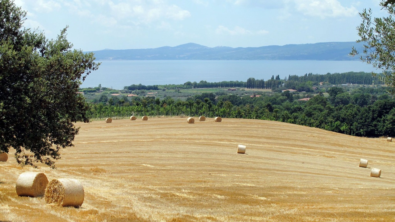 Photo of Others in Bolsena