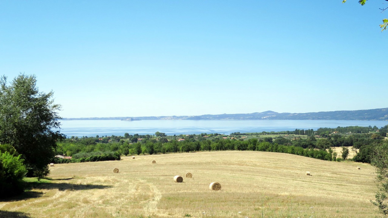 Photo of Others in Bolsena