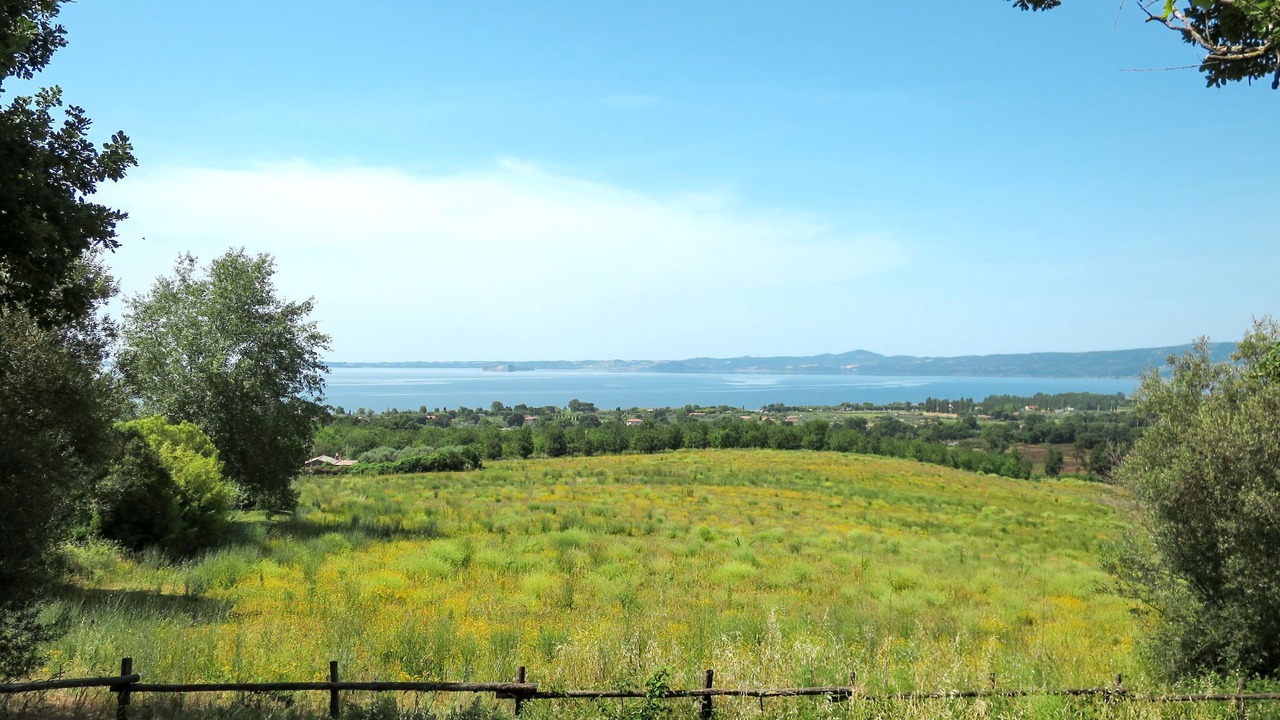 Photo of Others in Bolsena