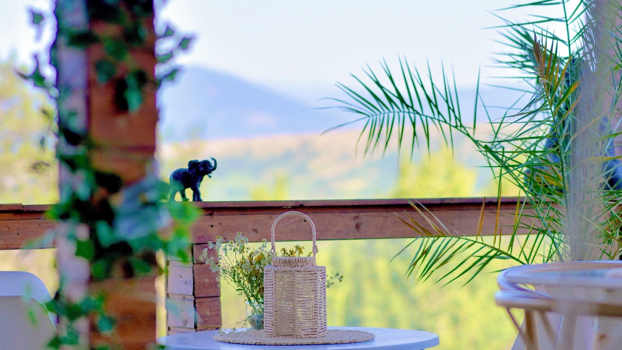 Photo of Outdoor in Zarnesti
