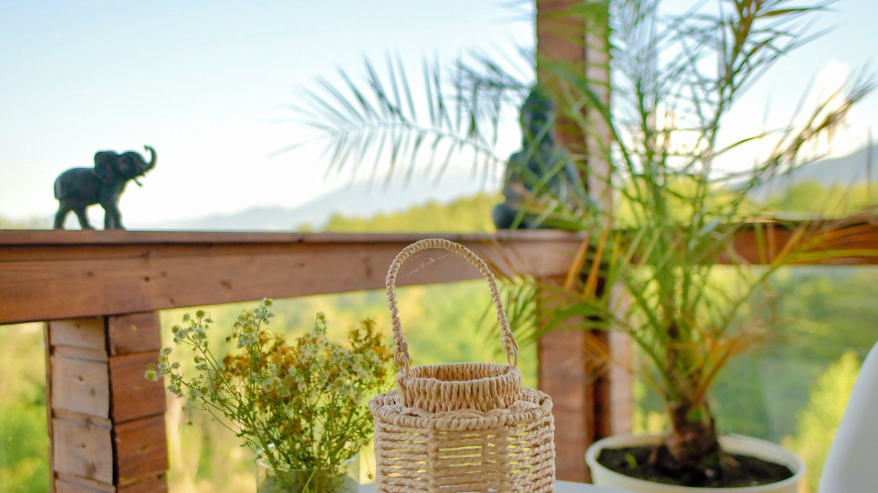 Photo of Outdoor in Zarnesti