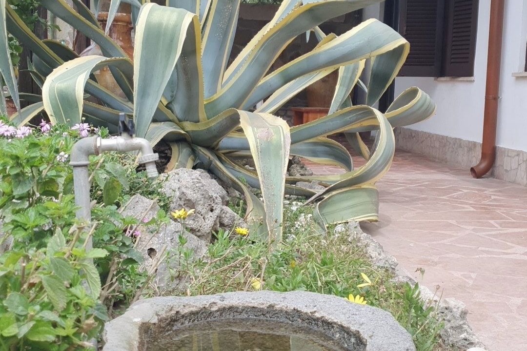 Photo of Outdoor in Zona LI La Storta
