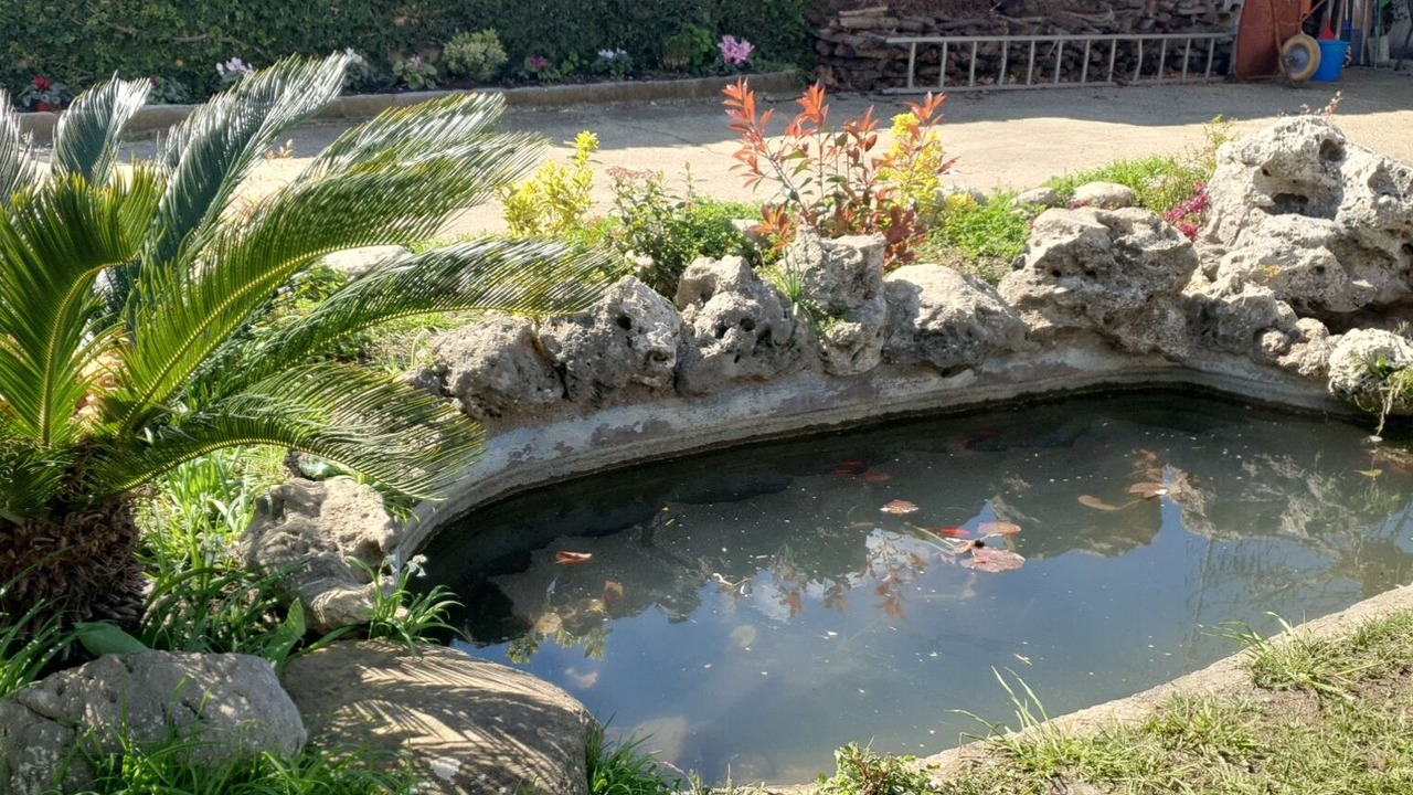 Photo of Outdoor in Zona LI La Storta