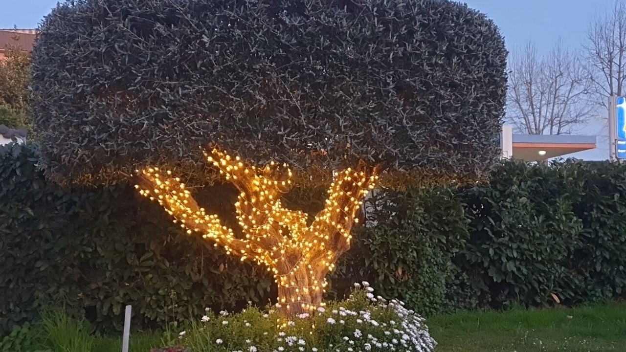 Photo of Outdoor in Zona LI La Storta