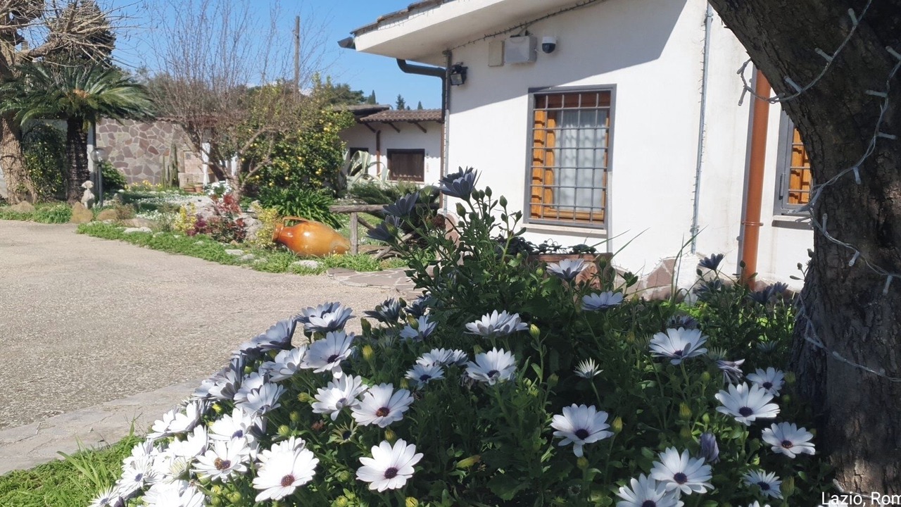 Photo of Outdoor in Zona LI La Storta